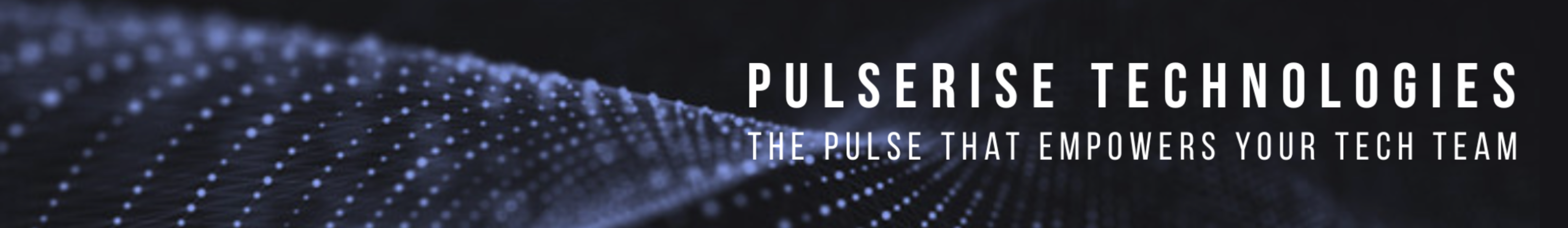 PulseRise Technologies