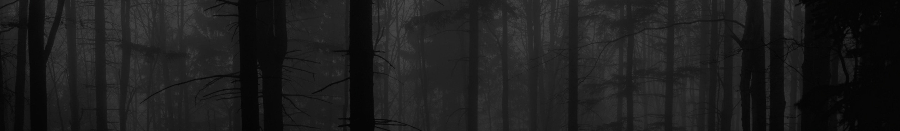 Black Forest Systems