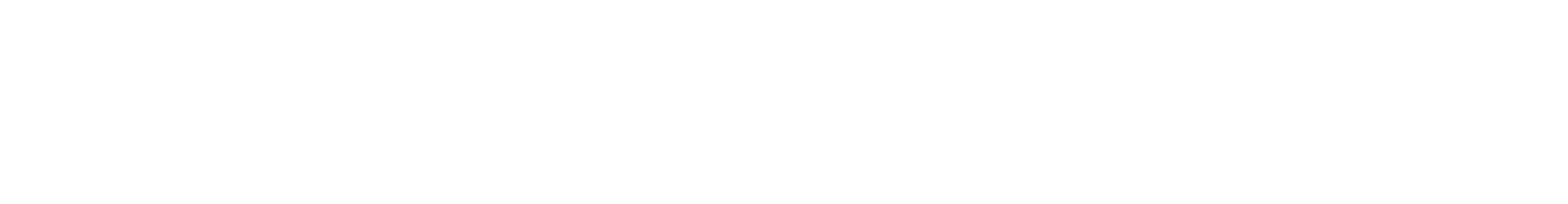 RoGuard Systems