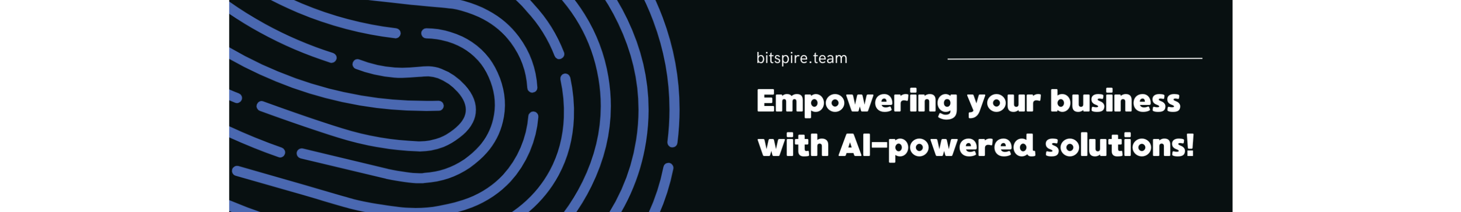 BitSpire Team