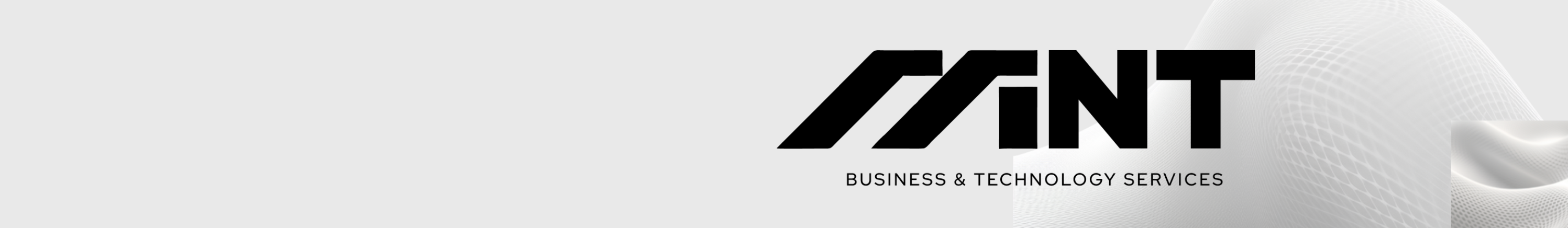 Mint Group