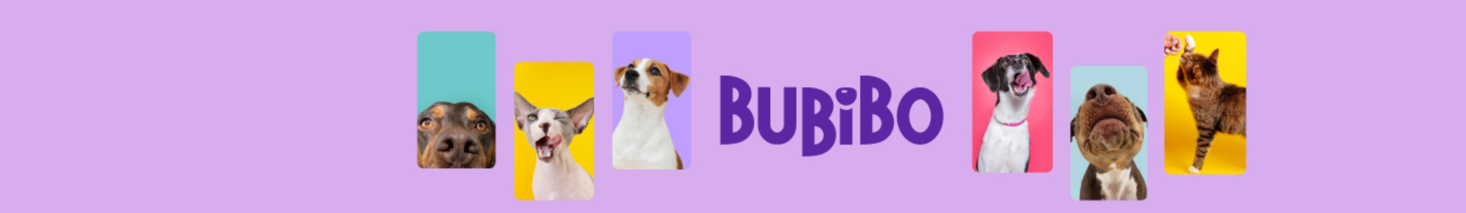 Bubibo