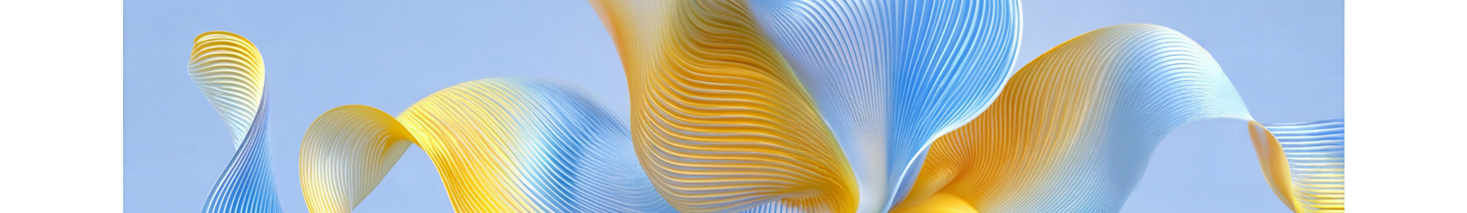 Digital Dynamics