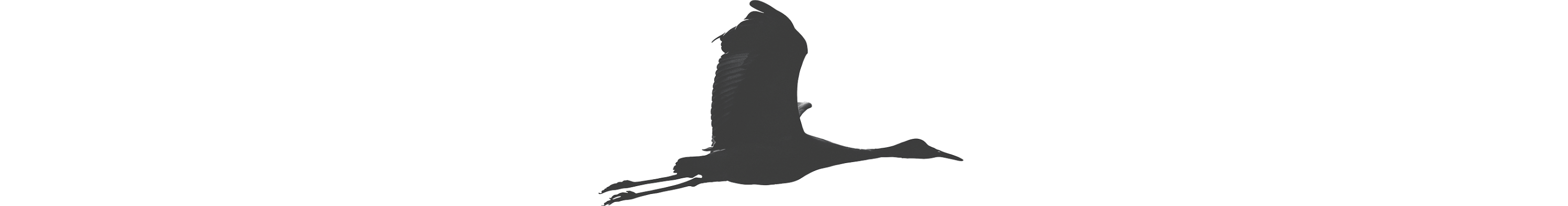 whitelark.io