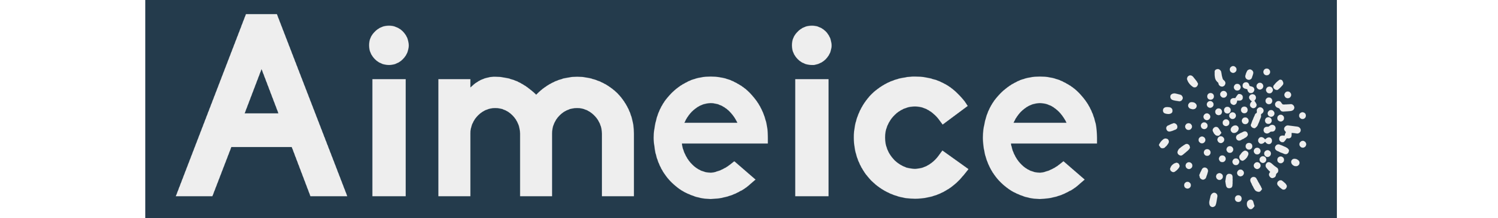 Aimeice Tech.