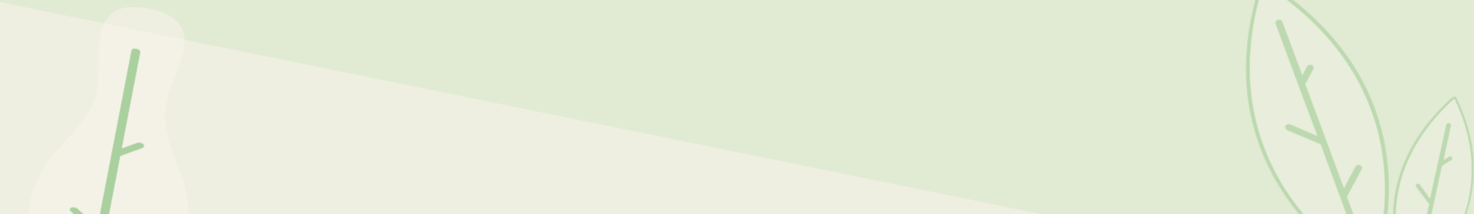 algoseek
